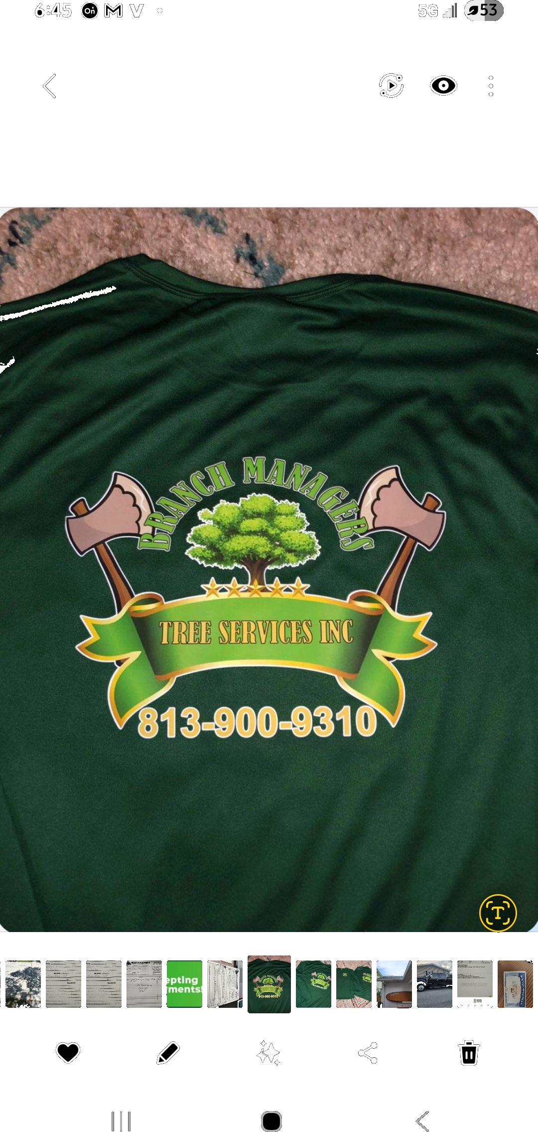 Branch Managers Tree Service Inc logo